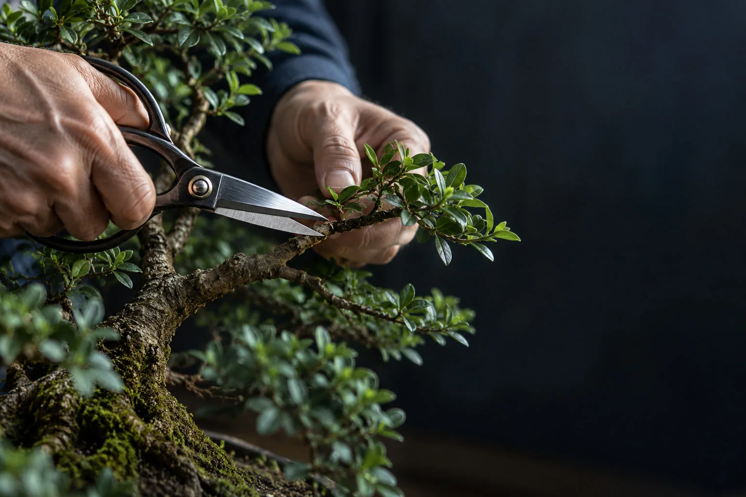 Mãos conduzindo uma tesoura de poda até um galho fino de bonsai, foco na lâmina.
